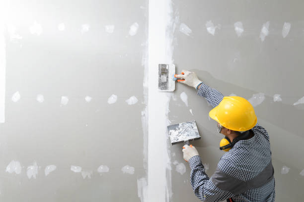 Best Black Mold Removal  in Santa Claus, IN