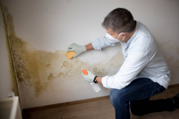 Santa Claus, IN Mold Removal Company