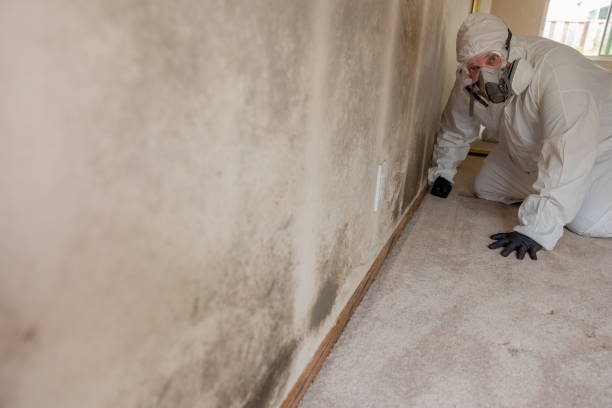 Best Airborne Mold Testing  in Santa Claus, IN