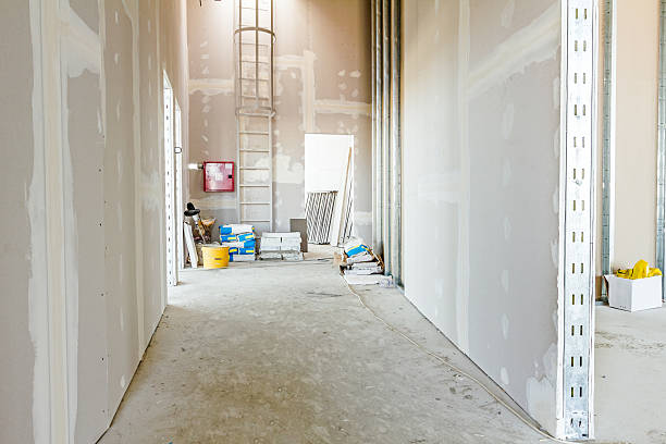 Best Mold Remediation for Vacation Homes  in Santa Claus, IN